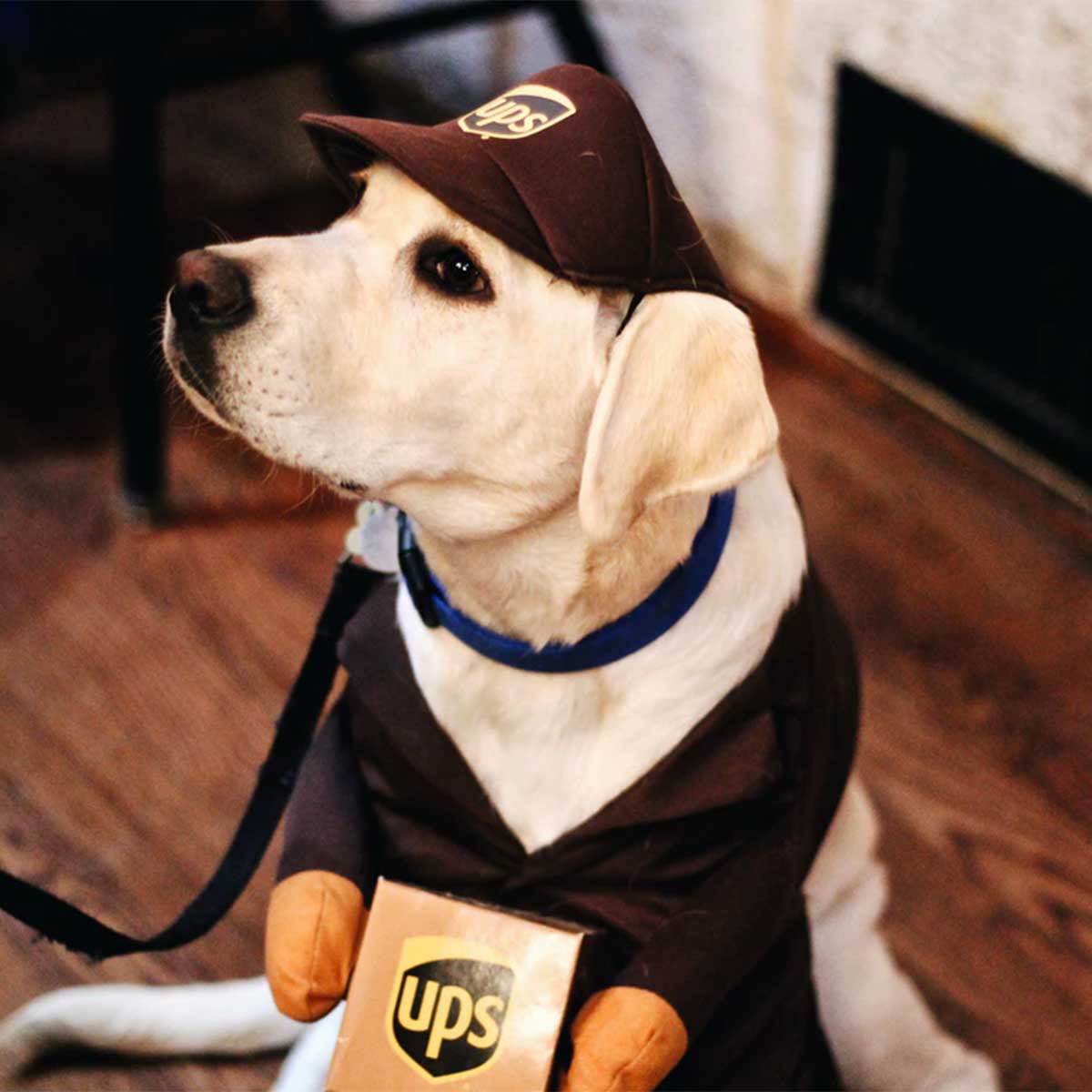 UPS