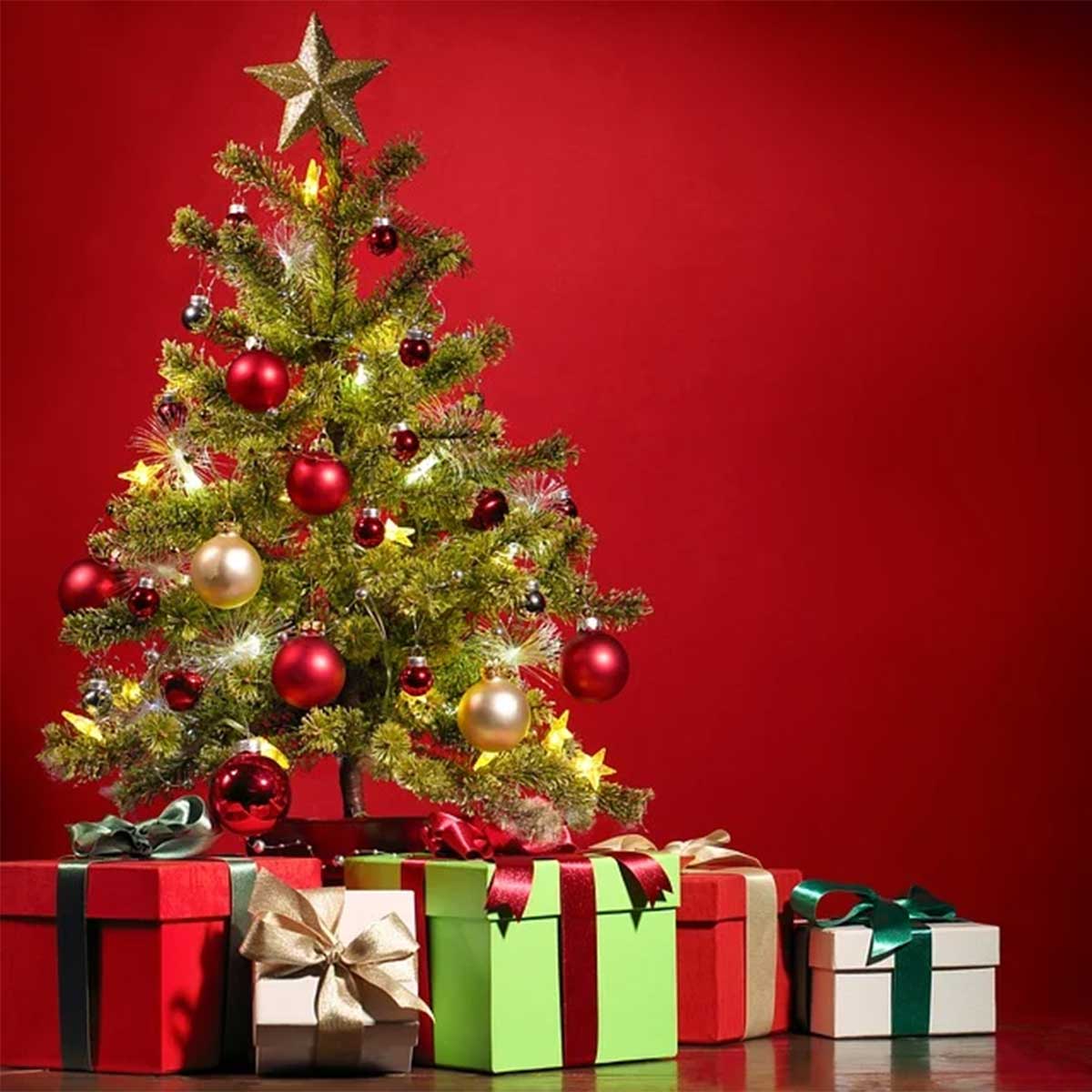 Christmas Holiday Scams