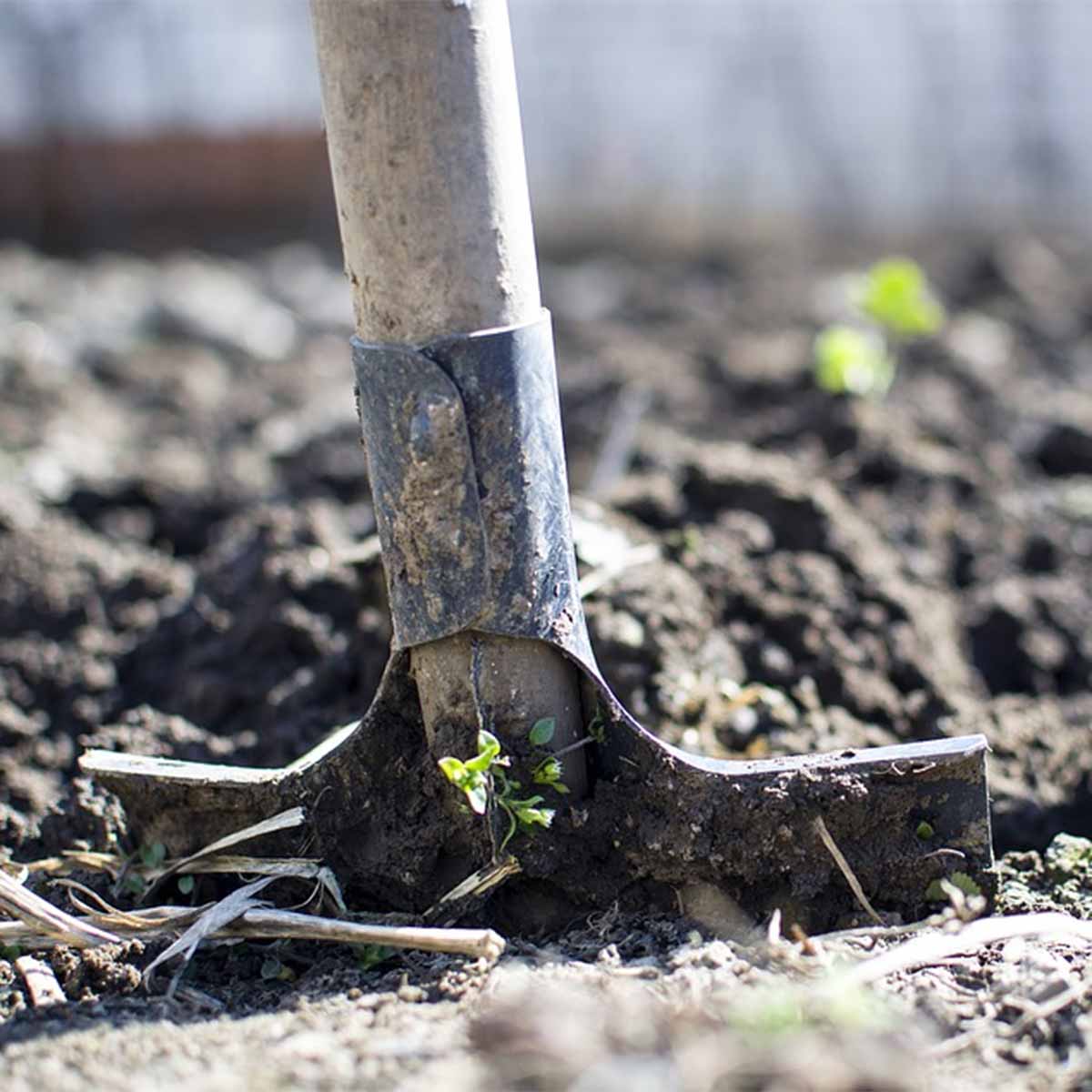 Digging