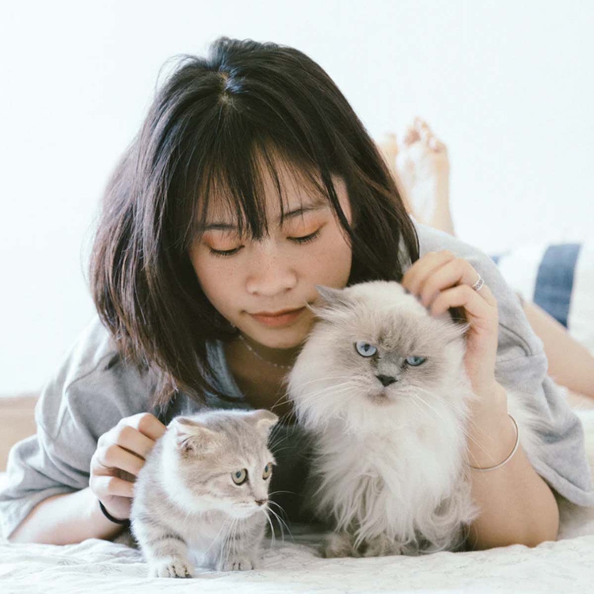 Pets